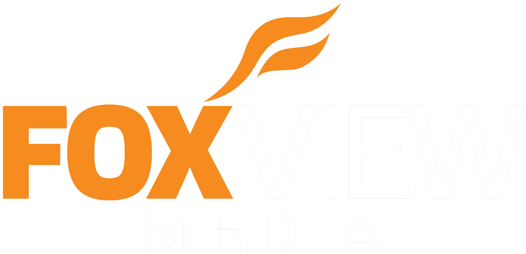 FoxView Media Logo